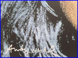 1980s Andy Warhol Signed Limited Edition Lithograph Debbie Harry
