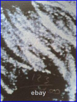 1980s Andy Warhol Signed Limited Edition Lithograph Debbie Harry