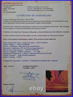 1980s Andy Warhol Signed Limited Edition Lithograph Vesuvius