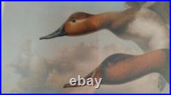 1989 Rhode Island Duck Stamp & Robert Steiner FOS Conservation Print #26/200