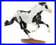 Breyer_70th_Anniversary_CHASE_PIECE_Limited_Edition_Black_Pinto_1825_01_cc