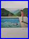 David_Hockney_Signed_Dive_In_Certificate_SPADEM_Paris_01_jwjj