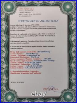 David Hockney Signed Dive In Certificate SPADEM Paris