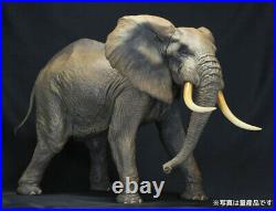 F KAIYODO African elephant Animal Wildlife Model LIMITED EDITION MASTER PIECE