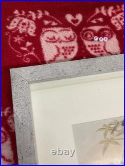 Framed Art Print, Wall Art Large Vintage, Birds Of Paradise, Boulder Sharpe