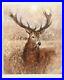 GARY_BENFIELD_Born_1965_LIMITED_EDITION_PRINT_NOBLE_PRINT_Of_Stag_20_195_01_ps