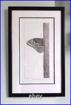 Gary Hodges Signed Limited Edition -Blue Morpho Butterfly 250/450 Framed