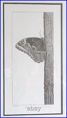 Gary Hodges Signed Limited Edition -Blue Morpho Butterfly 250/450 Framed
