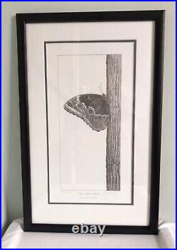 Gary Hodges Signed Limited Edition -Blue Morpho Butterfly 250/450 Framed