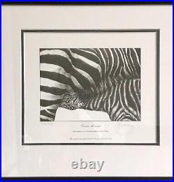 Gary Hodges Signed Limited Edition -Tender Moments 64/995 Zebra & Foal Framed