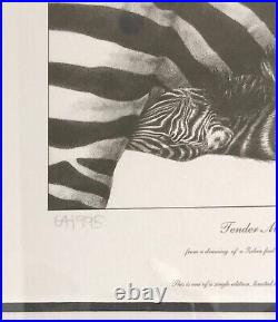 Gary Hodges Signed Limited Edition -Tender Moments 64/995 Zebra & Foal Framed