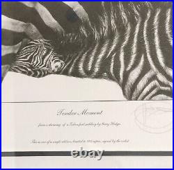 Gary Hodges Signed Limited Edition -Tender Moments 64/995 Zebra & Foal Framed