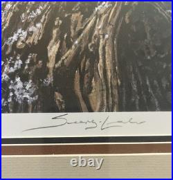 Hiding Place Saw-Whet Owl' Signed Limited Edition Piece # 29 Serrey Lester
