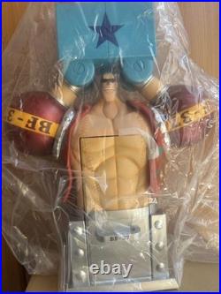 Limited Edition ONE PIECE Fy