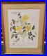 Margaret_Mee_1972_Lithograph_Limited_Edition_211_Out_Of_1000_Signed_By_Pencil_01_qgax