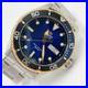 ORIENT_Diver_s_Automatic_Watch_Limited_Edition_500_Pieces_Day_Date_01_lv