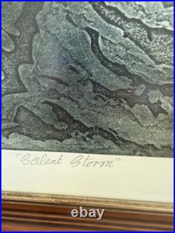 Original John Cunningham Signed Limited edition 1/30 Silent Storm framed