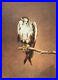 Signed_Limited_Edition_Print_Falcon_Raymond_Ching_01_wr