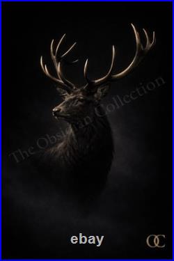 The Obsidian Stag Limited Edition Canvas Print Luxury Wall Art / Home Decor